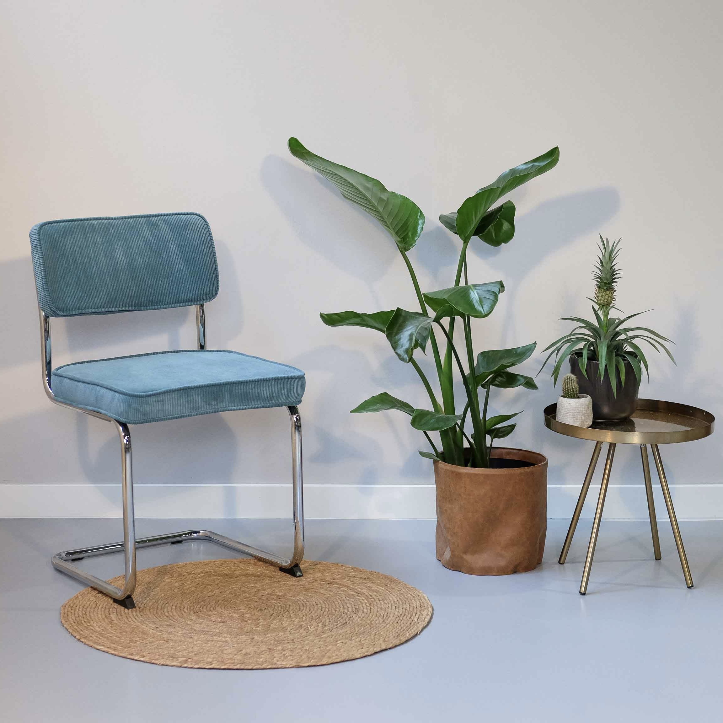 Eetkamerstoel Olivia Rib Blauw (1)